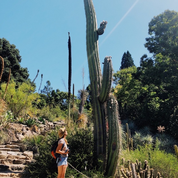 Meet your Posher, Lauren - Picture 9 of 9